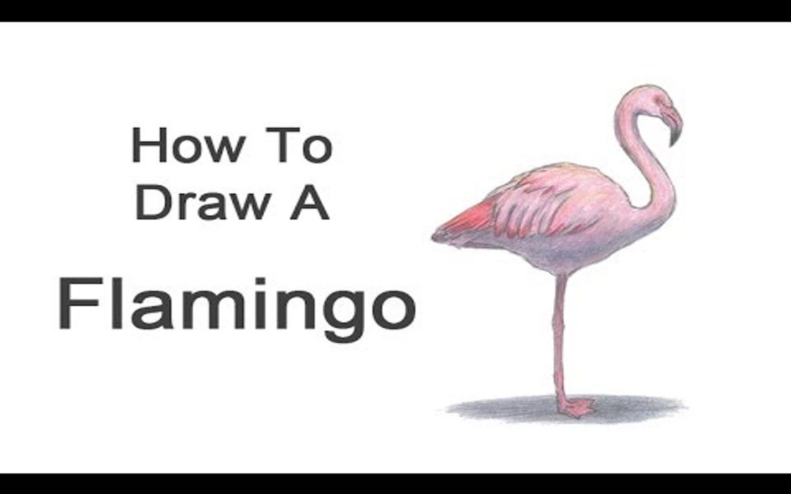 Simple Drawing of a Flamingo