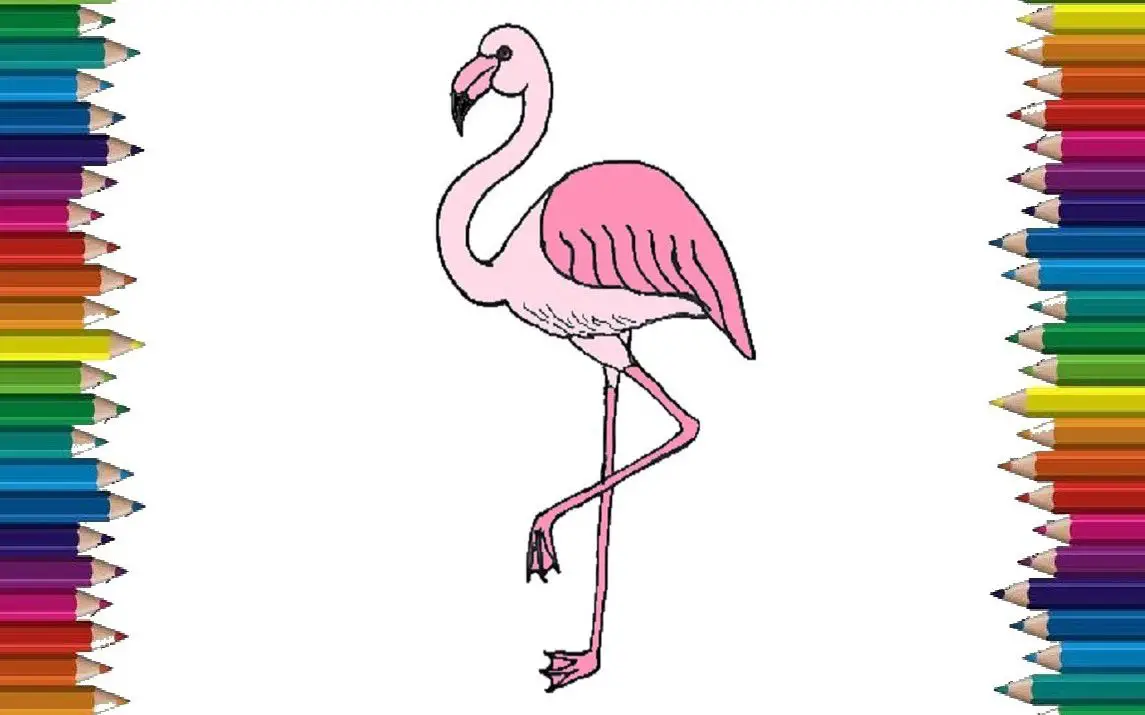 Quick and Easy Flamingo Drawing