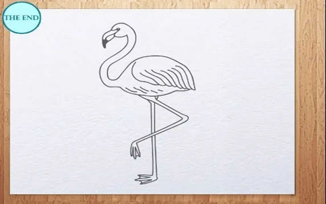 Simple Line Drawing of a Flamingo