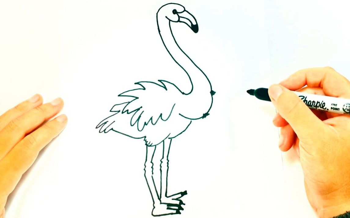 Easy Approach to Drawing a Flamingo Bird