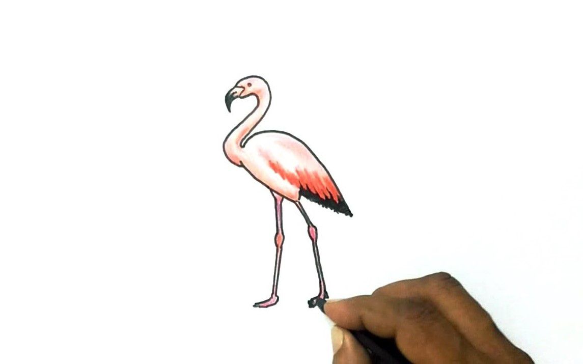Simple and Easy Drawing of a Flamingo