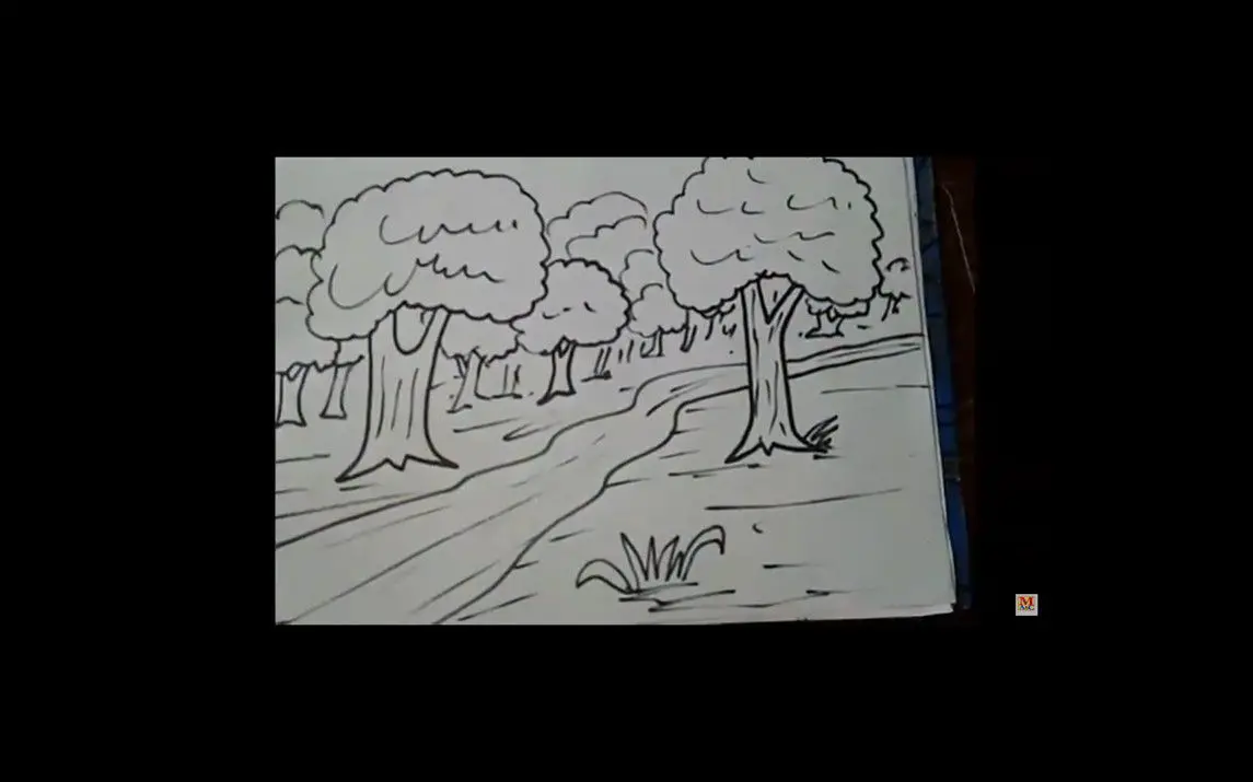 Forest Drawing Tutorial for Kids