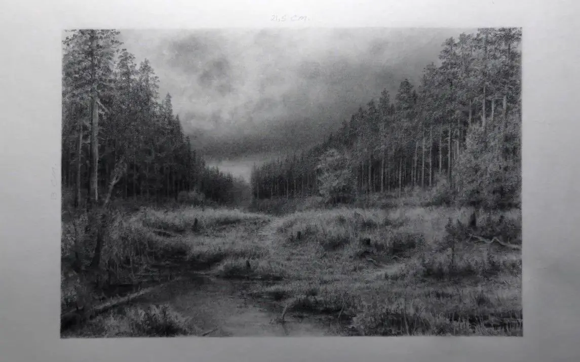 Beautiful Pine Forest in Greyscale