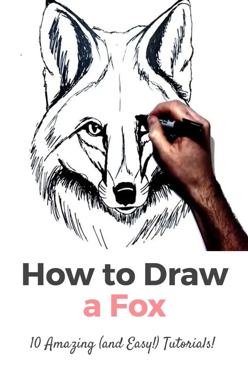 How To Draw A Fox: 10 Amazing and Easy Tutorials! Thumbnail