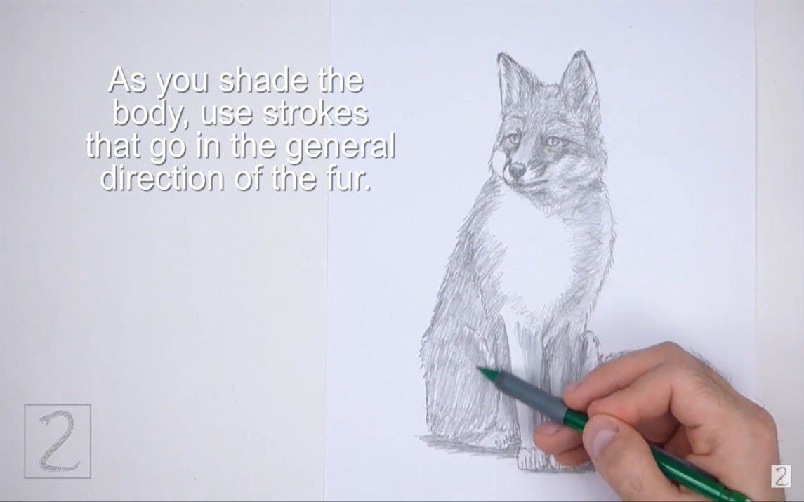 Step by Step Fox Drawing Tutorial
