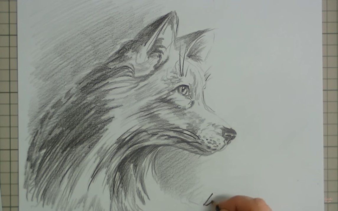 Striking Portrait of a Fox