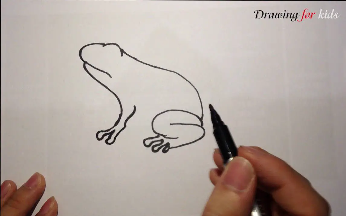 Stepwise Frog Drawing Tutorial for Beginners