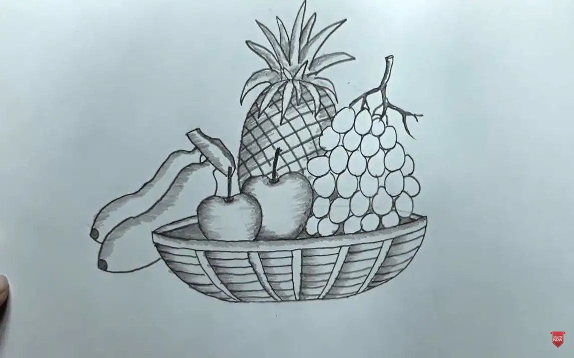 Premium Vector | Basket and fruit doodle
