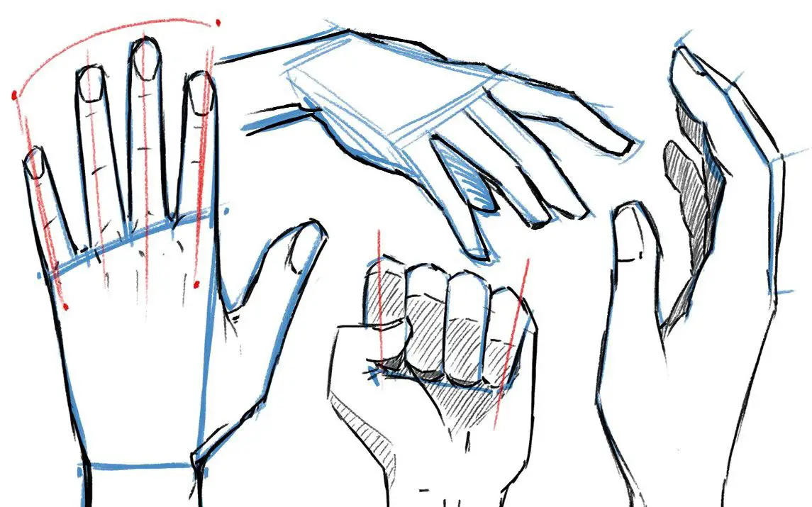 Detailed Guide on Drawing Different Hand Poses