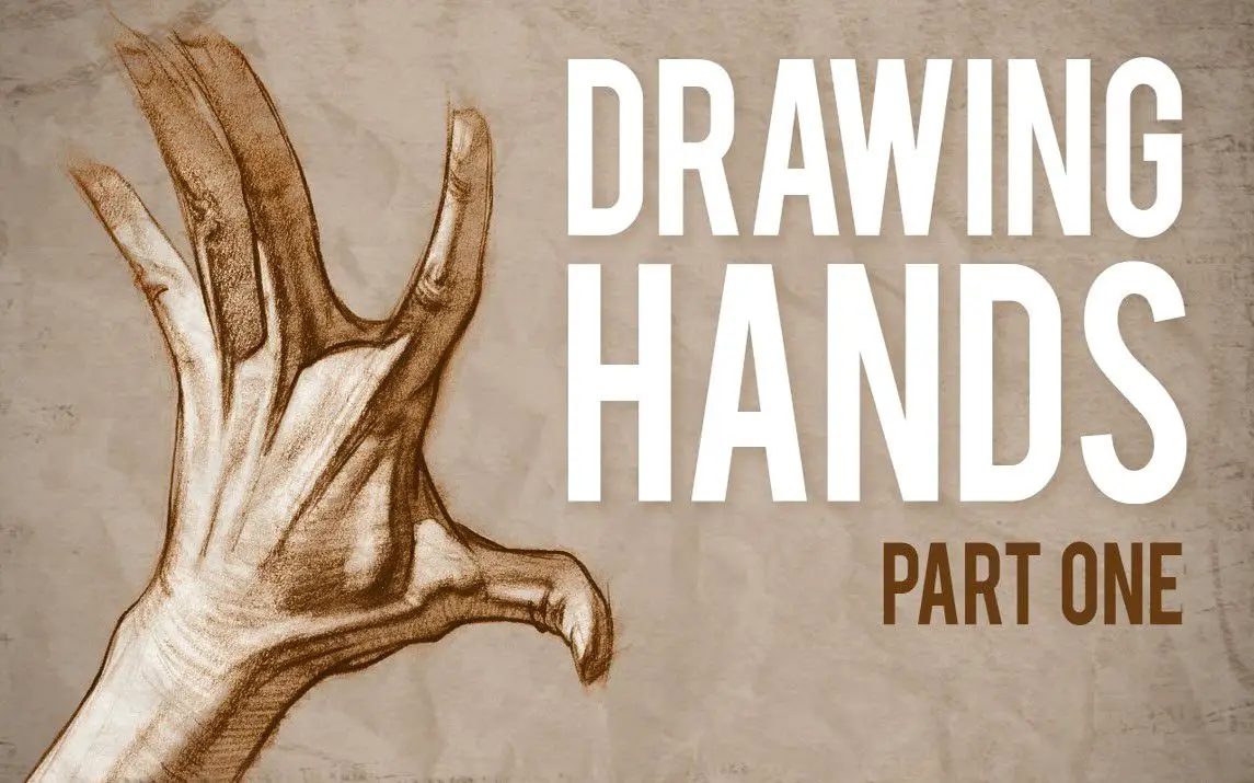 Understanding Muscle Anatomy of Hand Drawings