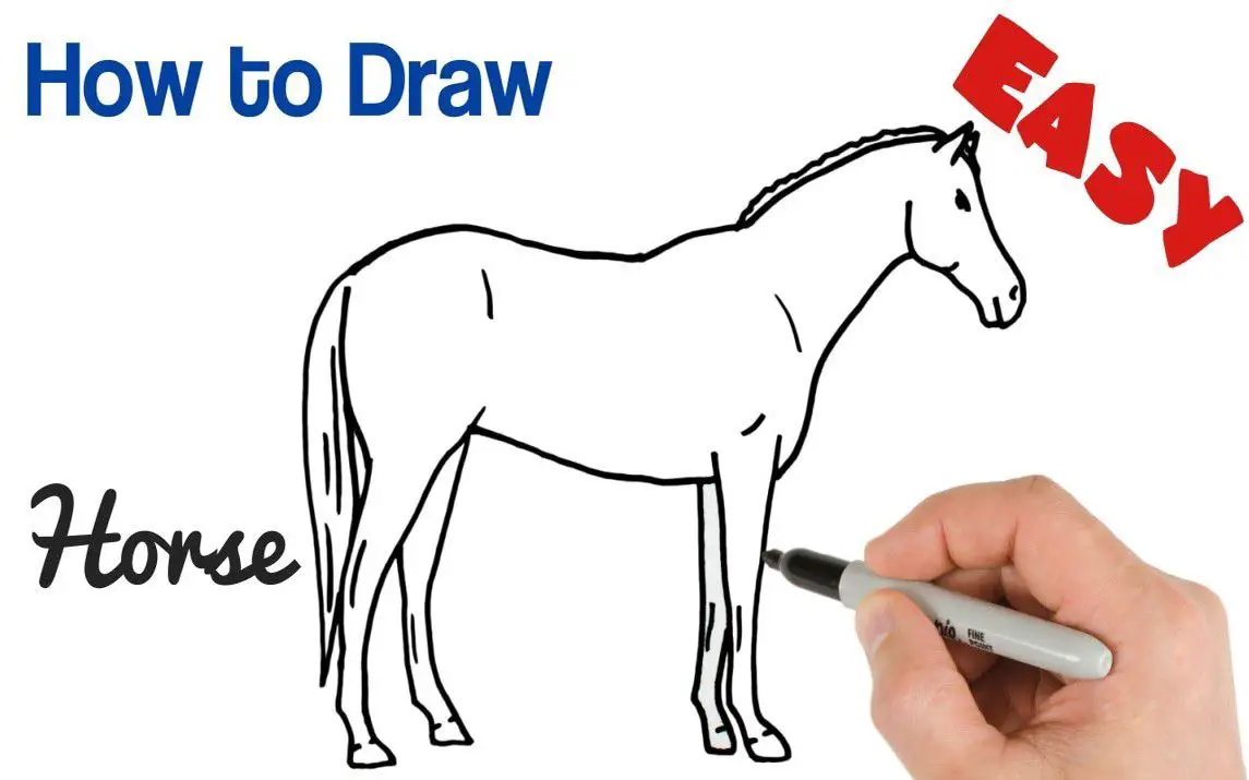 Easy Way to Draw a Horse