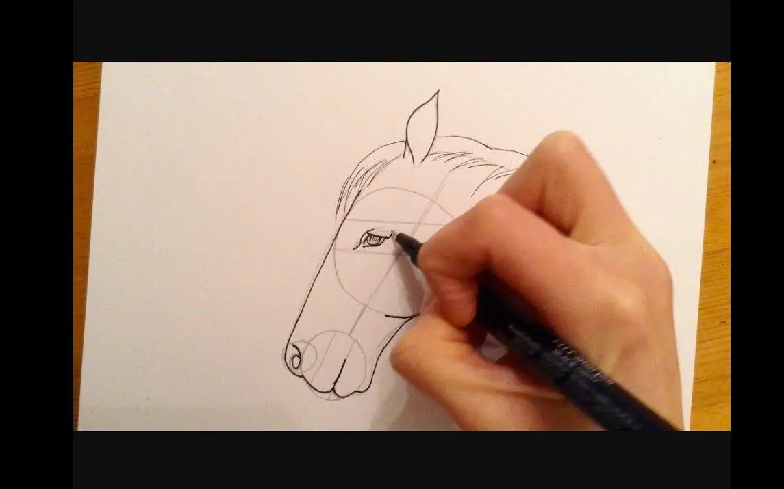 Step by Step Horse Drawing Tutorial