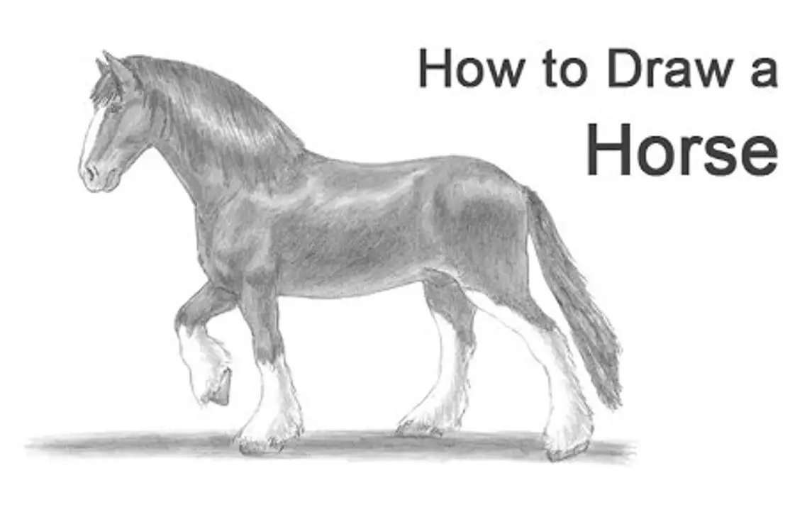 Realistic Sketch of a Horse
