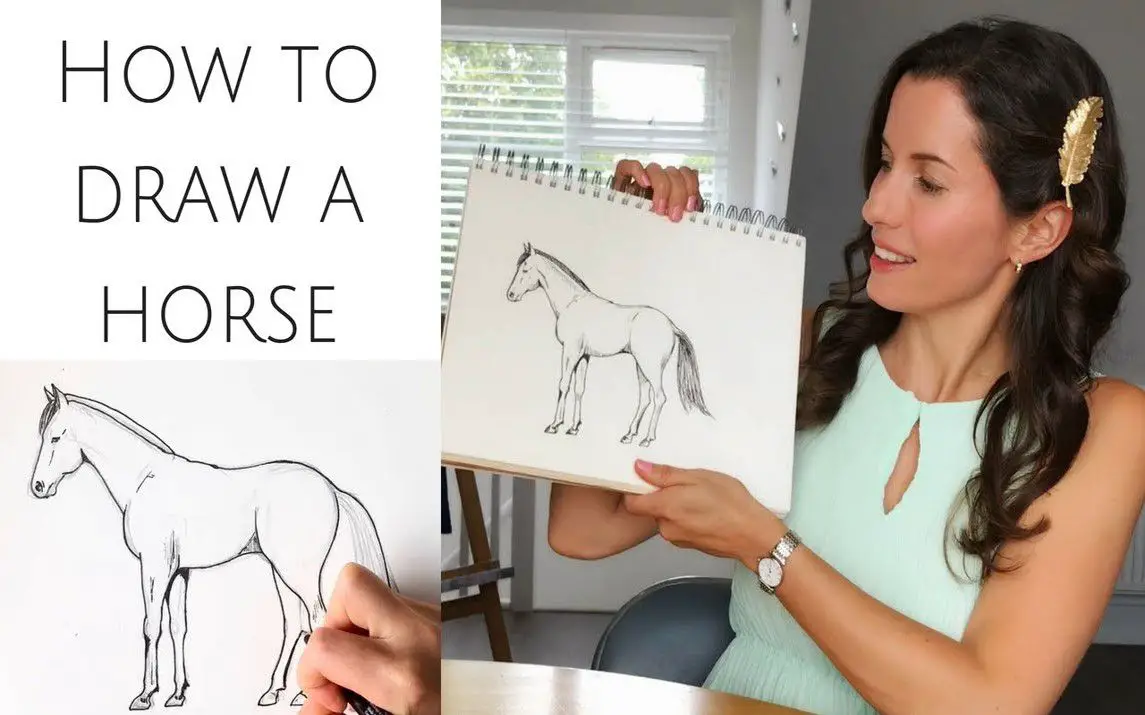 Guide to Drawing a Beautiful Horse
