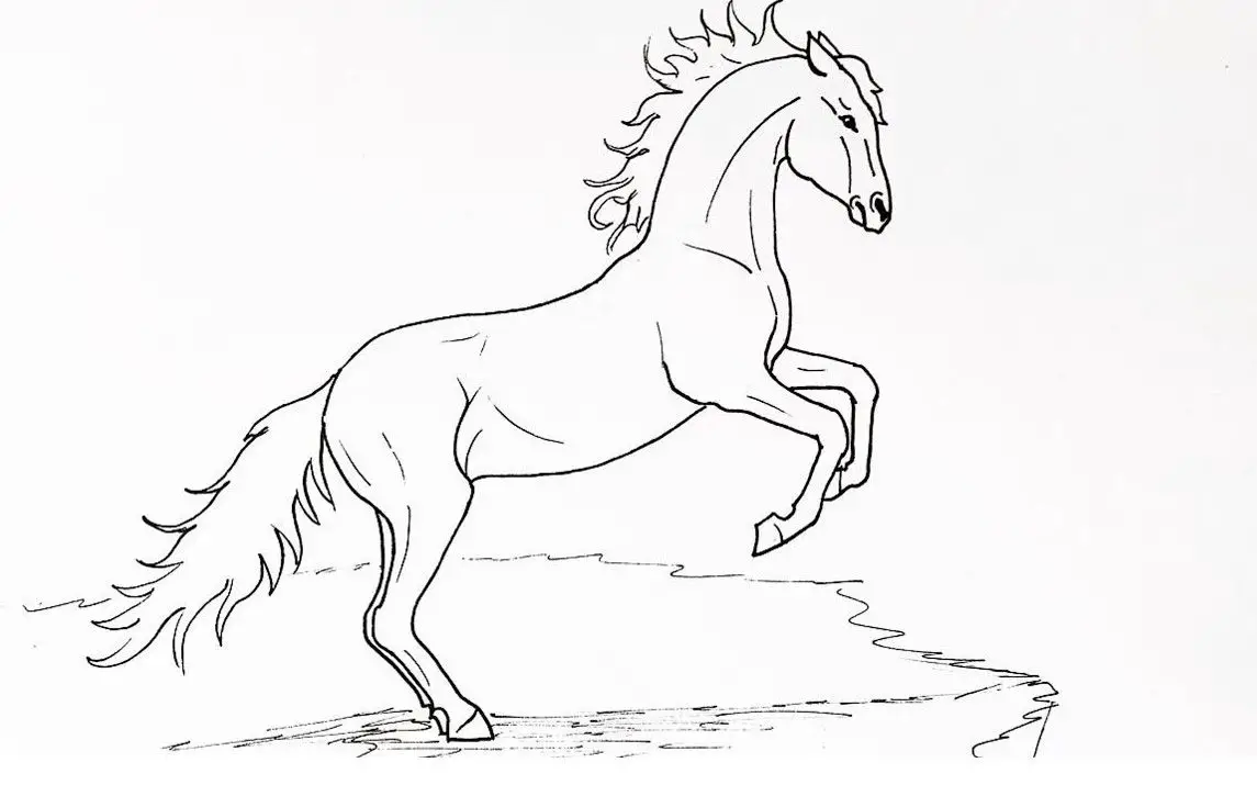 Majestic Horse Drawing