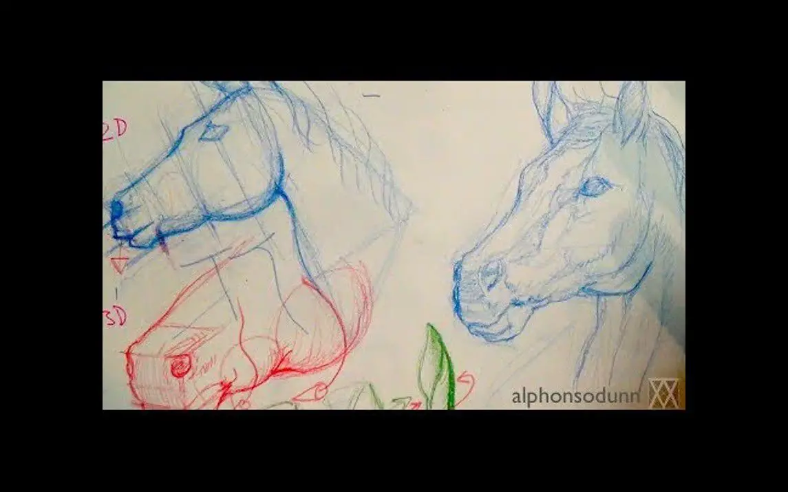 Horse Portrait Drawing Tutorial