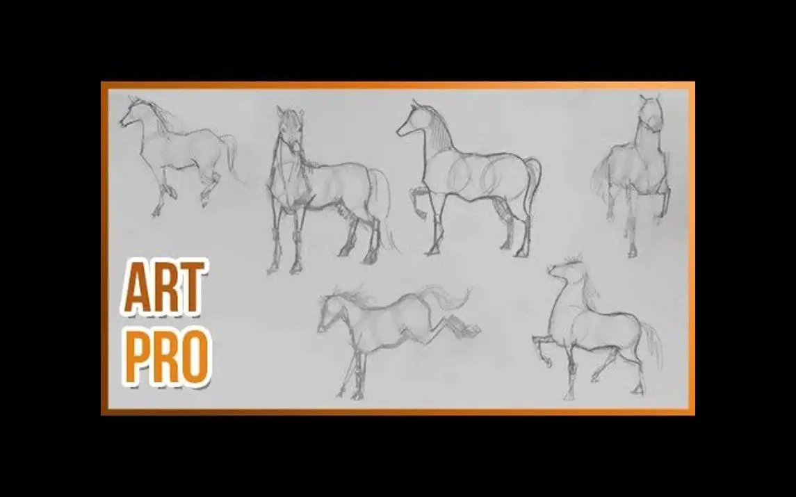 Drawing Horses in Various Poses