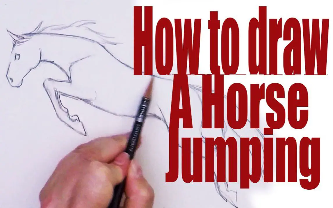 Drawing a Jumping Horse