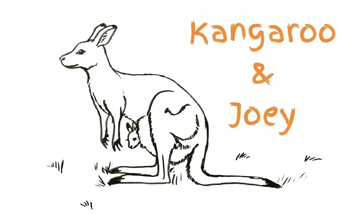 Drawing a Kangaroo with a Baby inside the Pouch