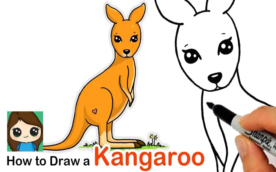 A Cute Little Kangaroo