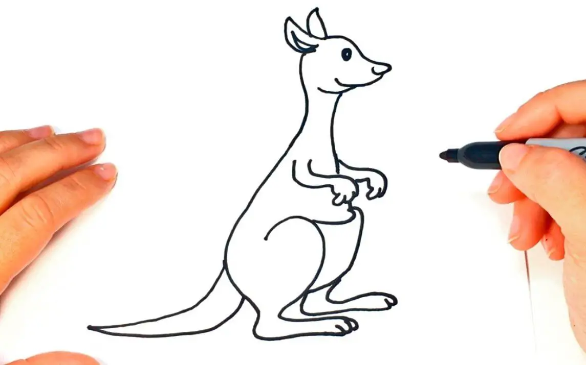Simple Kangaroo Line Drawing