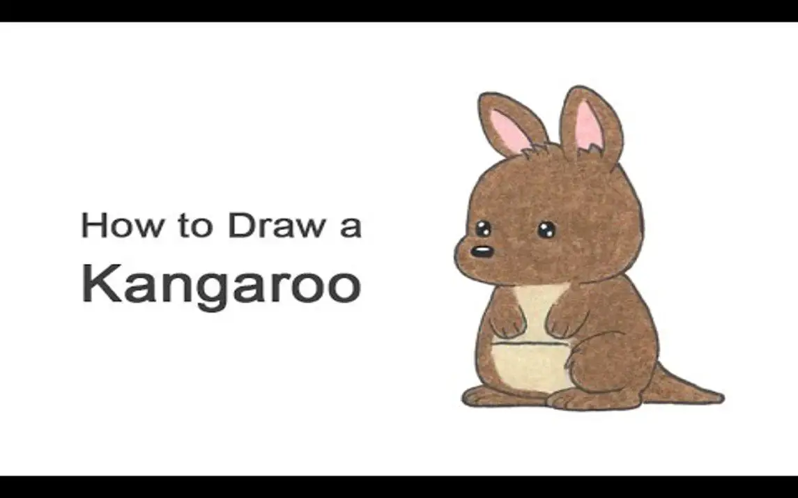 Cartoon Kangaroo Drawing