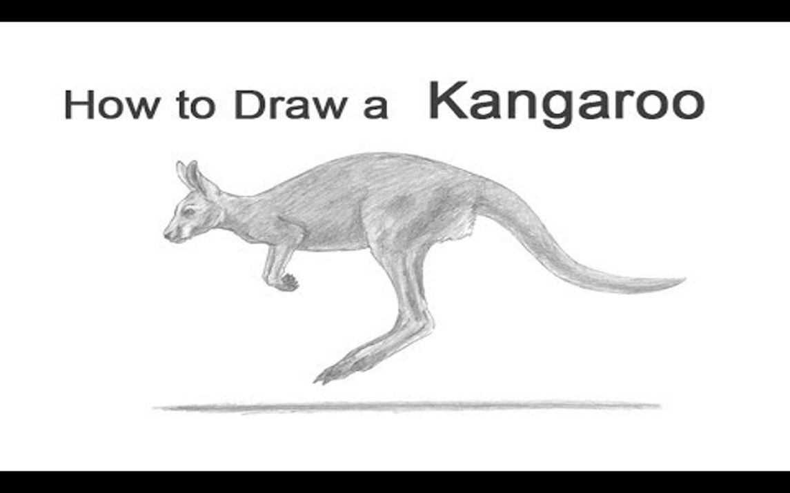 Realistic Jumping Kangaroo