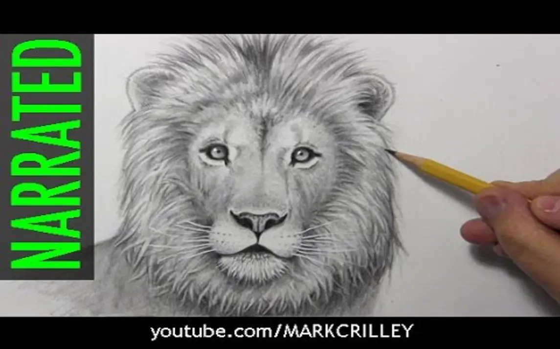 KREA - pencil drawing of a lion wearing a hoodie