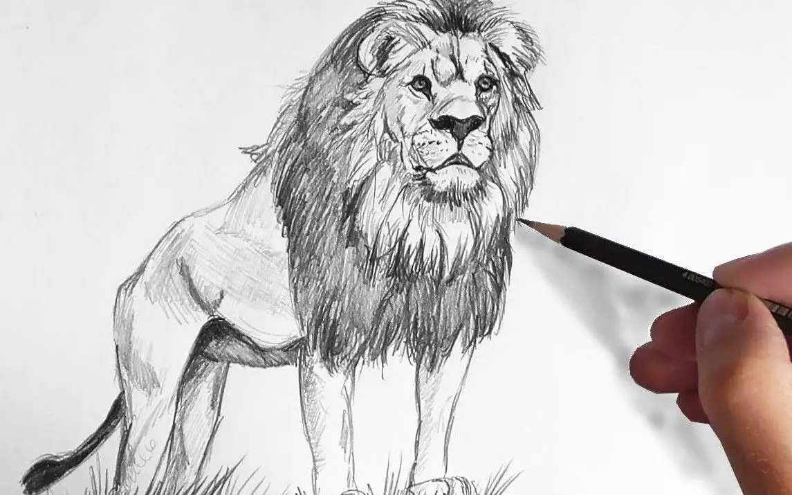 Striking Pencil Sketch of a Lion