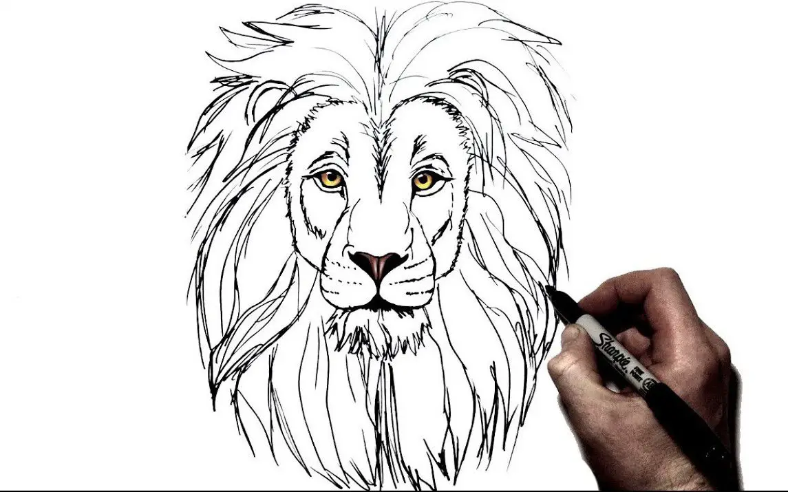 Beautiful Lion Tattoo Design