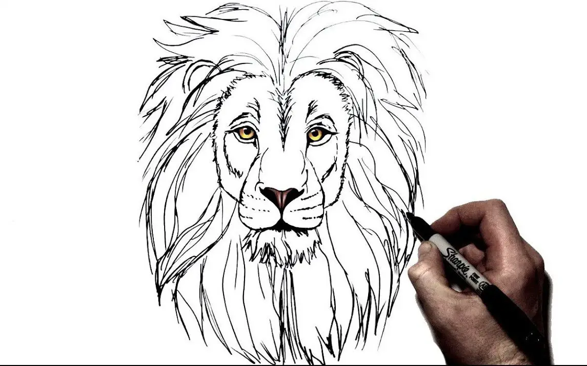 How To Draw A Lion