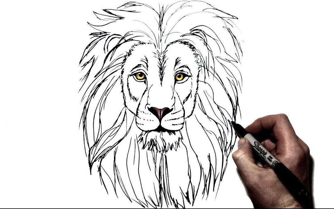 realistic lion drawing step by step