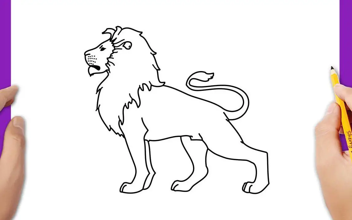 Quick and Easy Lion Drawing Tutorial
