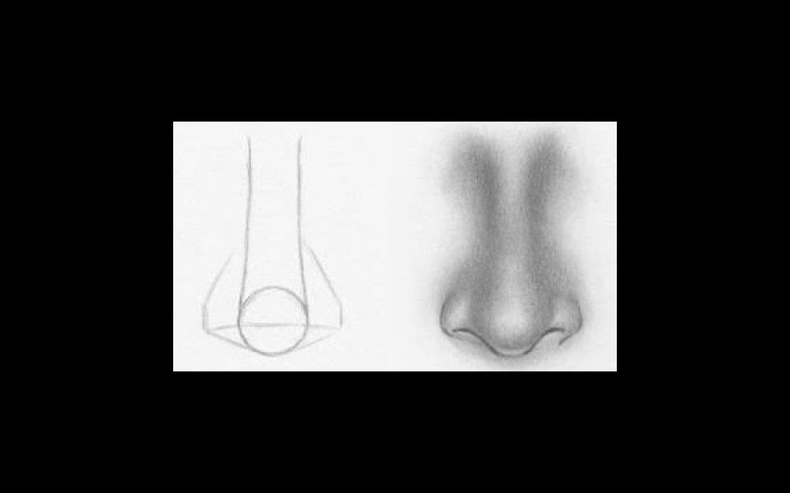 How To Draw A Nose – Step-by-Step Guide – Artlex