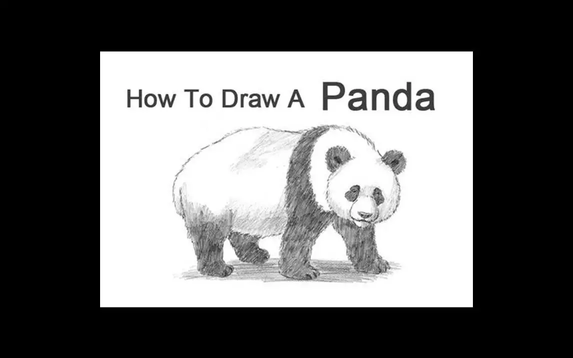 Realistic Sketch of a Panda