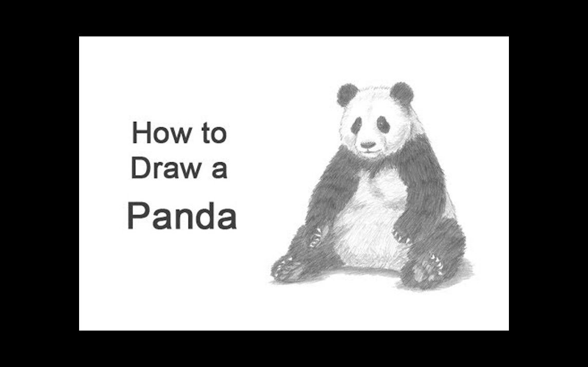 Friendly Panda Drawing