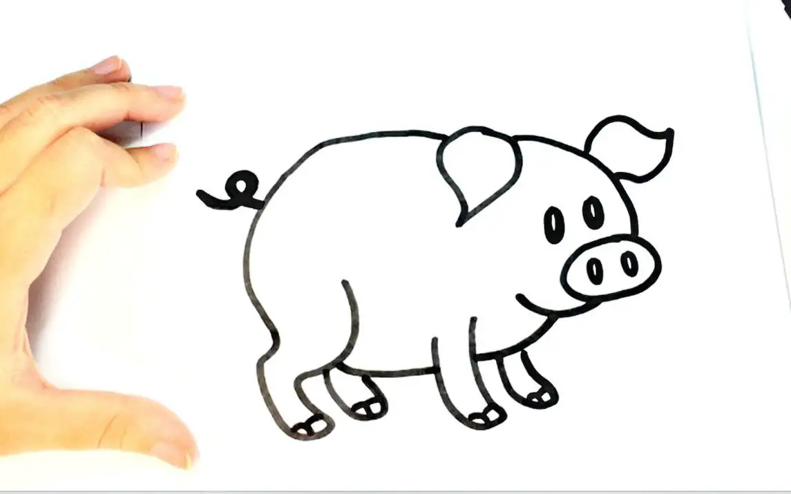 Simple Line Drawing of a Pig