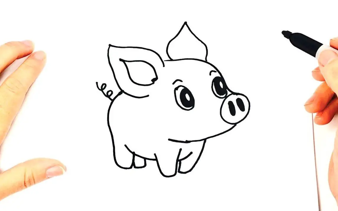 Cute Piglet Drawing