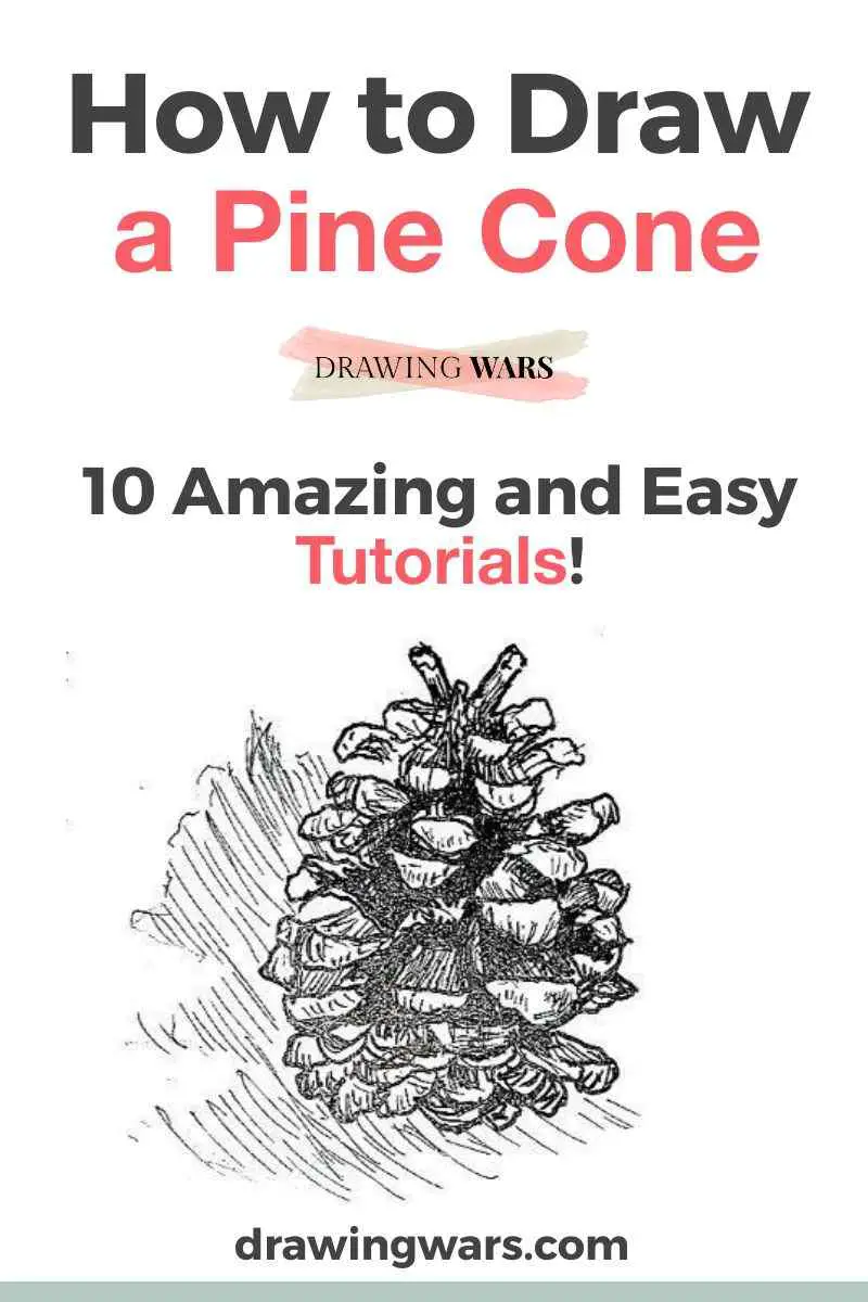 How To Draw A Pine Cone Thumbnail