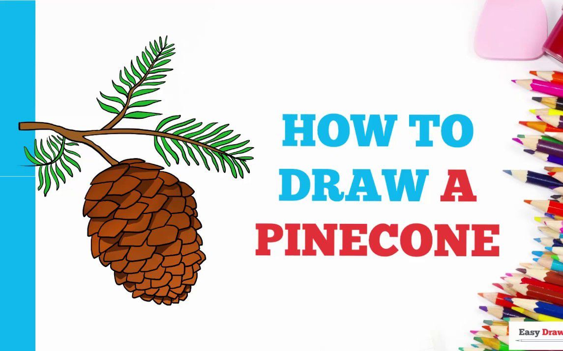 Quick Beginner’s Lesson to Drawing Pinecones