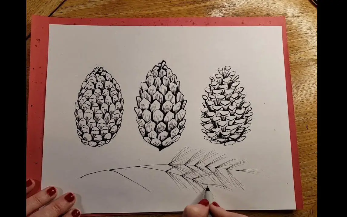 A Simple Approach to Drawing Beautiful Pinecones