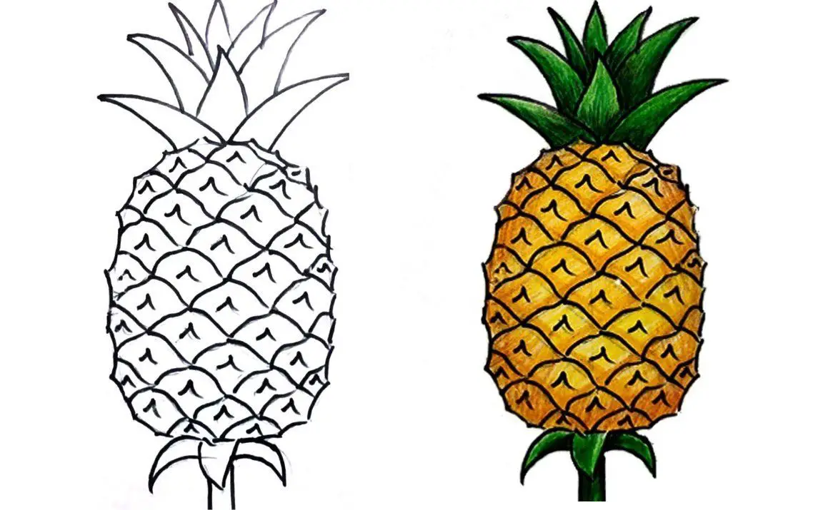 Easy Pineapple Drawing Tutorial