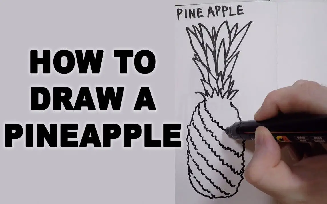 Quick Approach to Drawing Pineapples