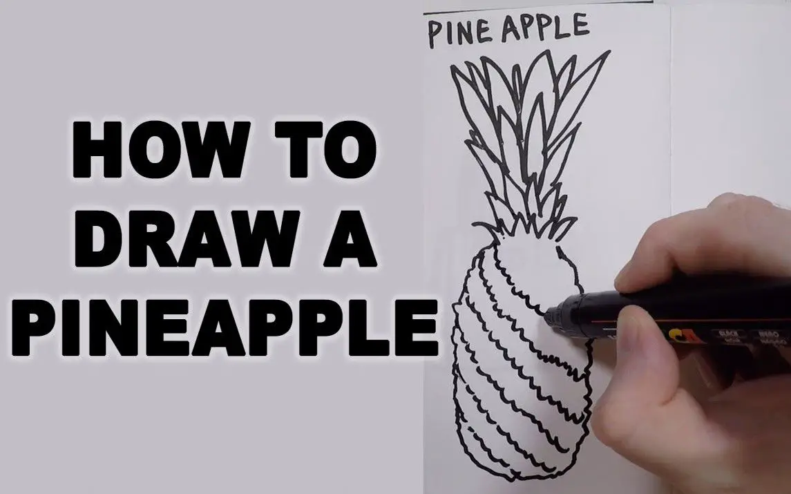 How To Draw A Pineapple