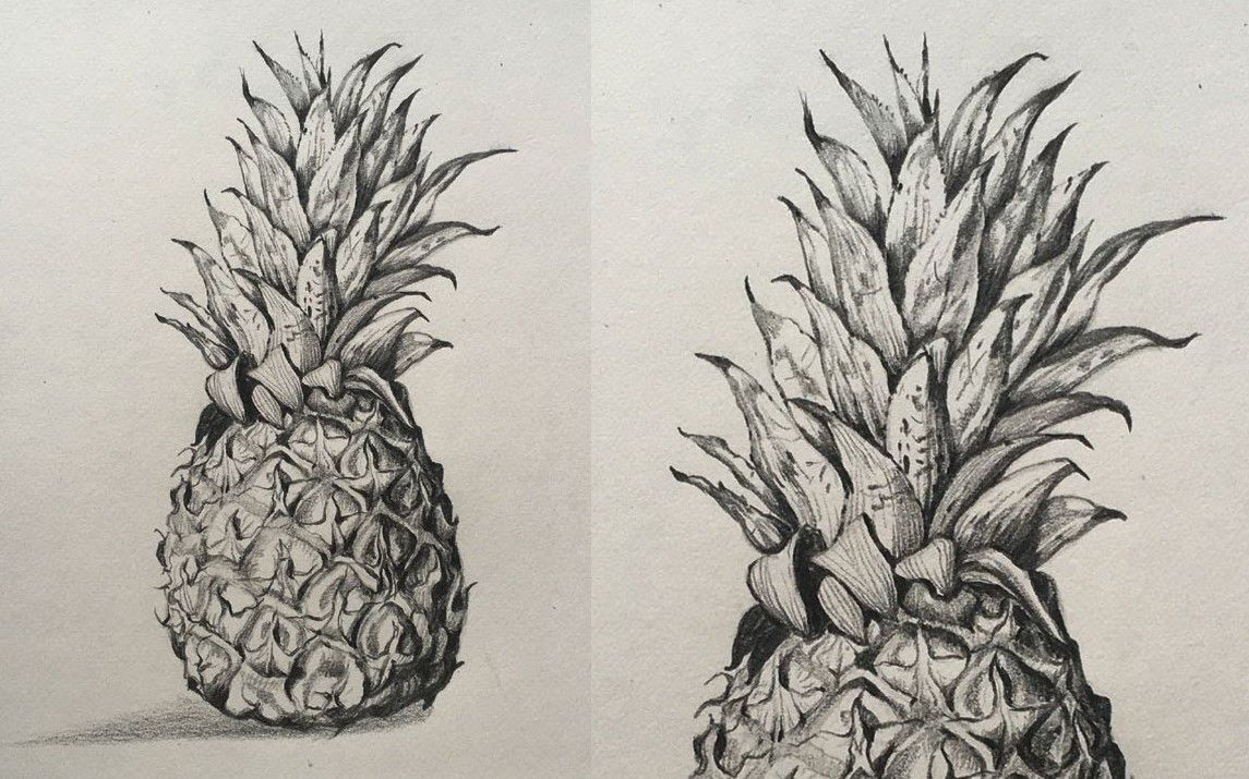 Realistic Drawing of a Pineapple