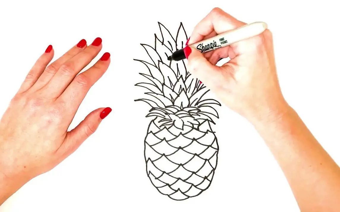 Realistic Pineapple Line Drawing