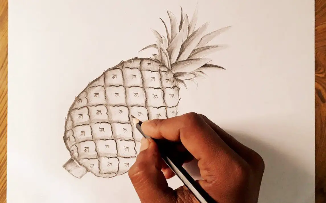 Realistic Looking Pineapple Sketch