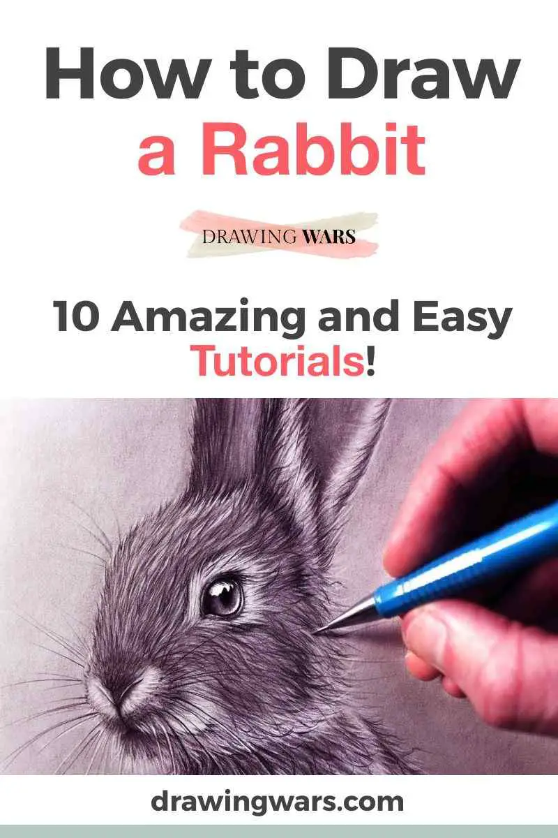 How To Draw A Rabbit Thumbnail