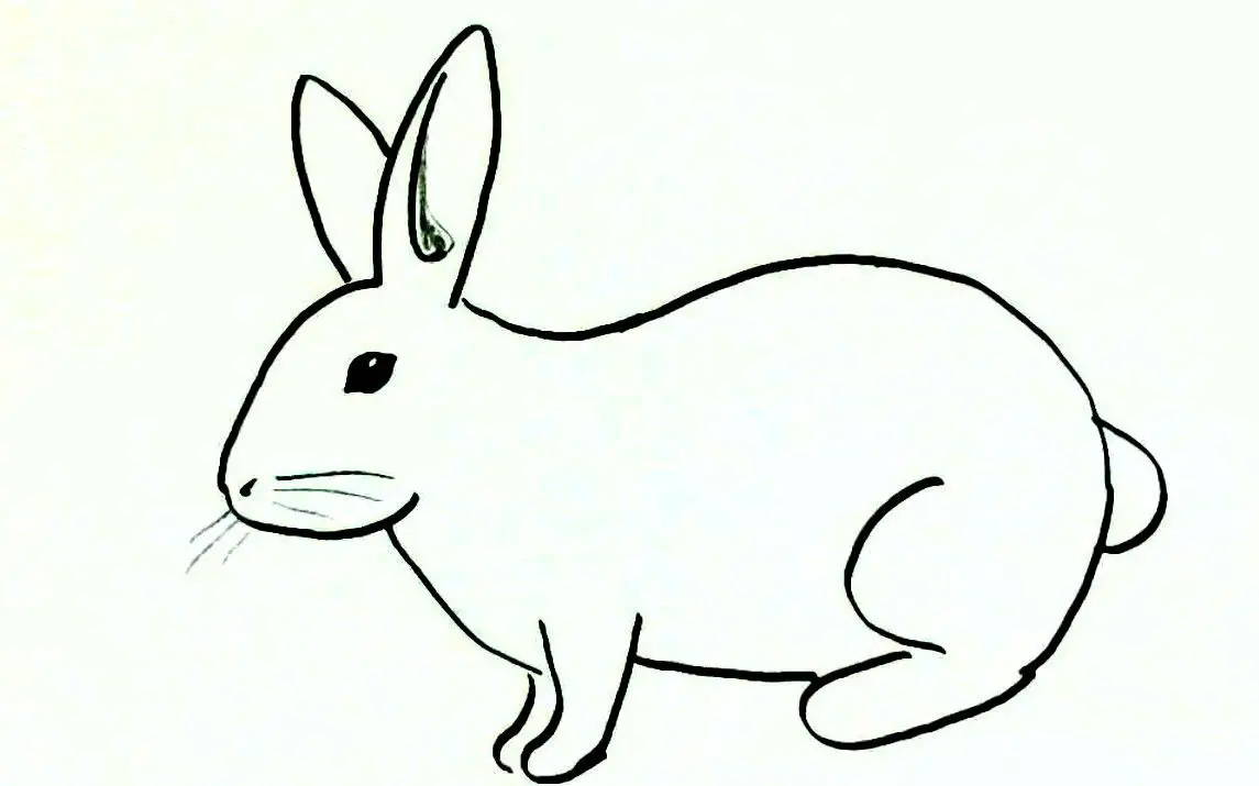 Easy Rabbit Line Art