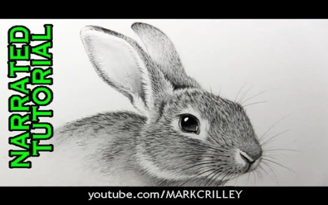 Realistic Rabbit Portrait